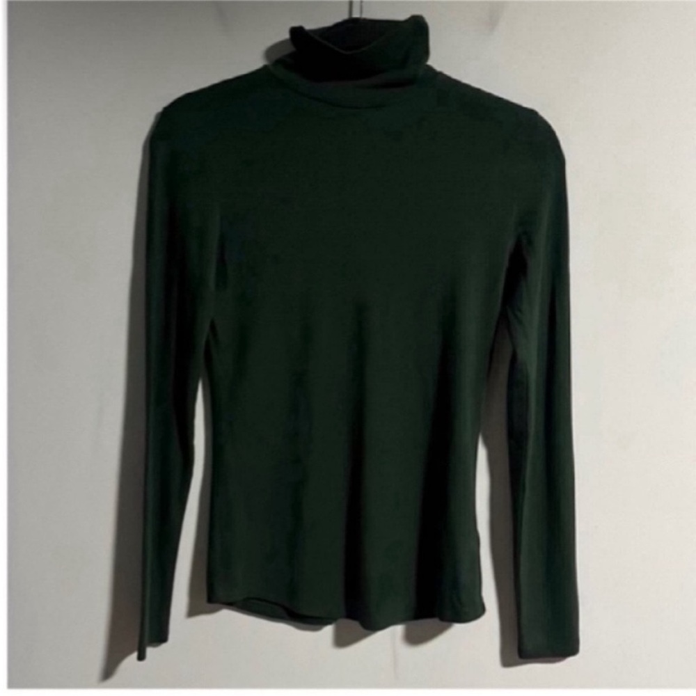 Aritzia The Group by Babaton Long Sleeve Turtleneck